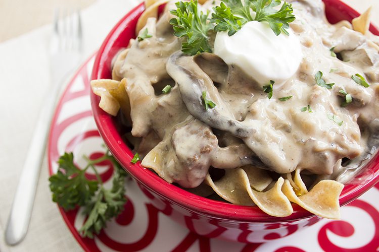 beef stroganoff up close horizontal shot