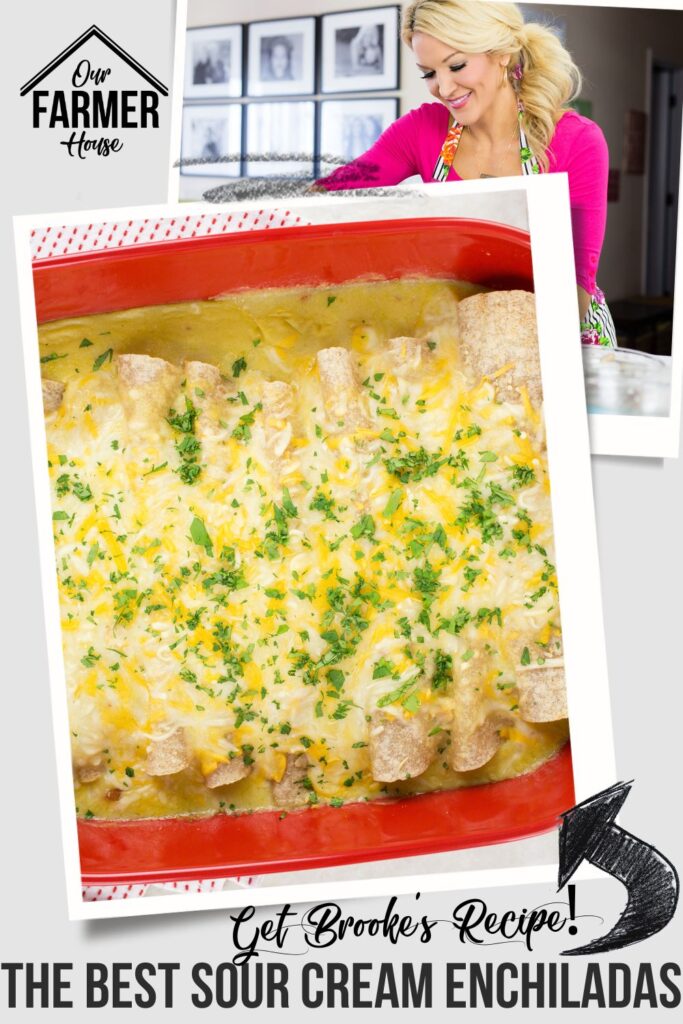 The Best LightenedUp Sour Cream Chicken Enchiladas