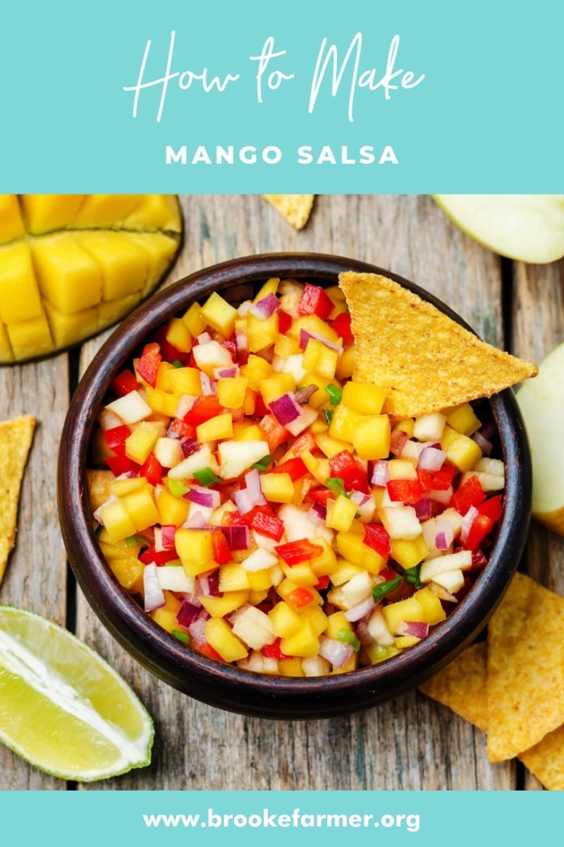 How to Make a Mango Salsa Recipe