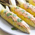 Up close picture of prepared corn on the cob with a chipotle cream sauce and cilantro on the top of each cob