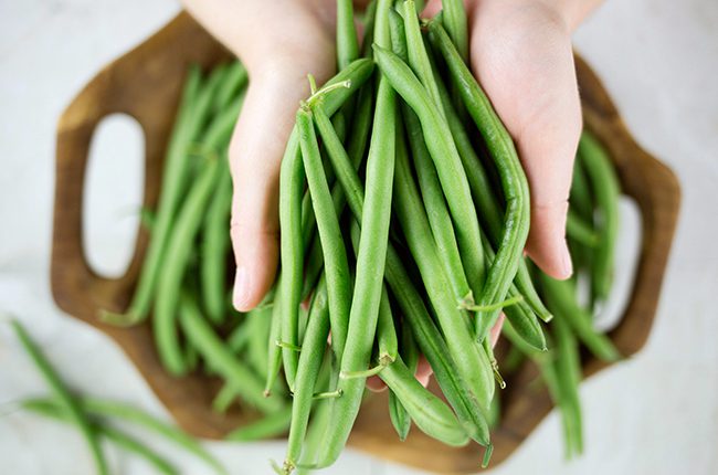 A hand holding a bunch of fresh green beans over a large brown basket