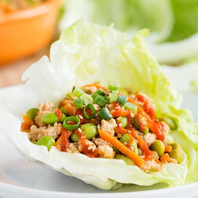 Asian Turkey Lettuce Wraps | Low Carb