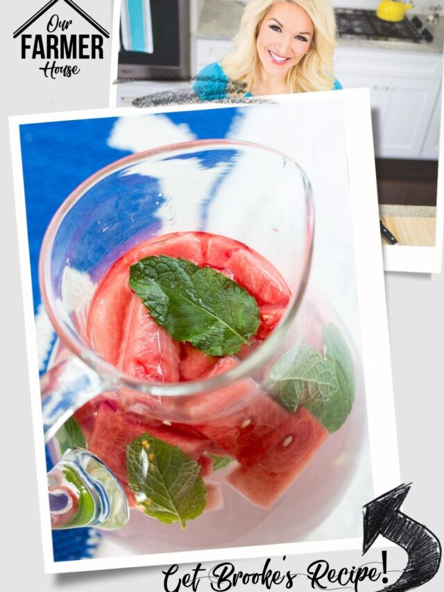 Watermelon and Mint Detox Water Recipe