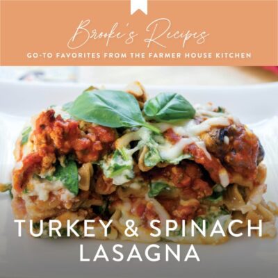 Turkey & Spinach Lasagna