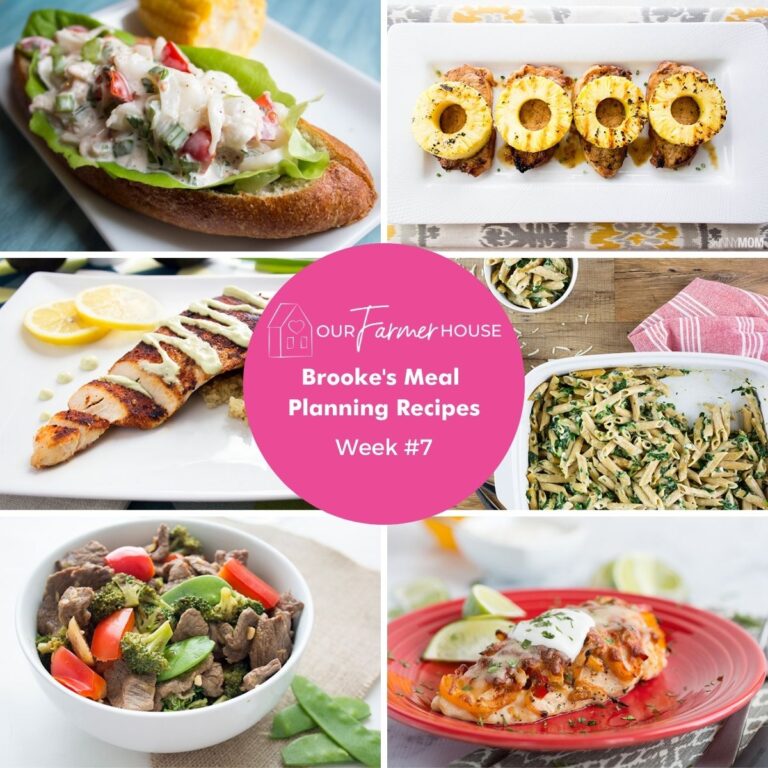 Brooke’s Quick Family Meal Planning Recipes #7