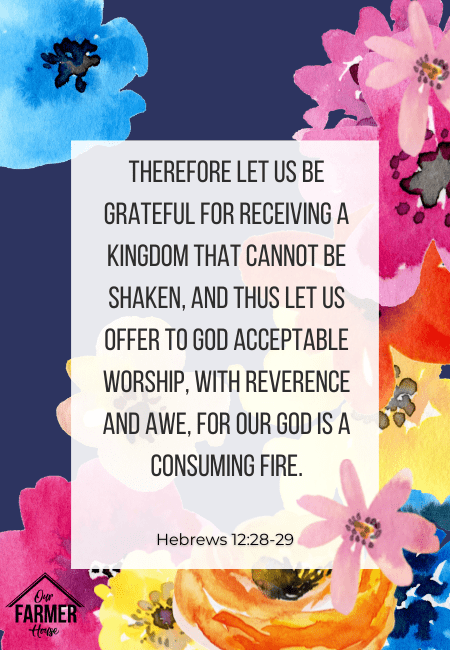 12 Best Bible Verses To Help You Show Gratitude