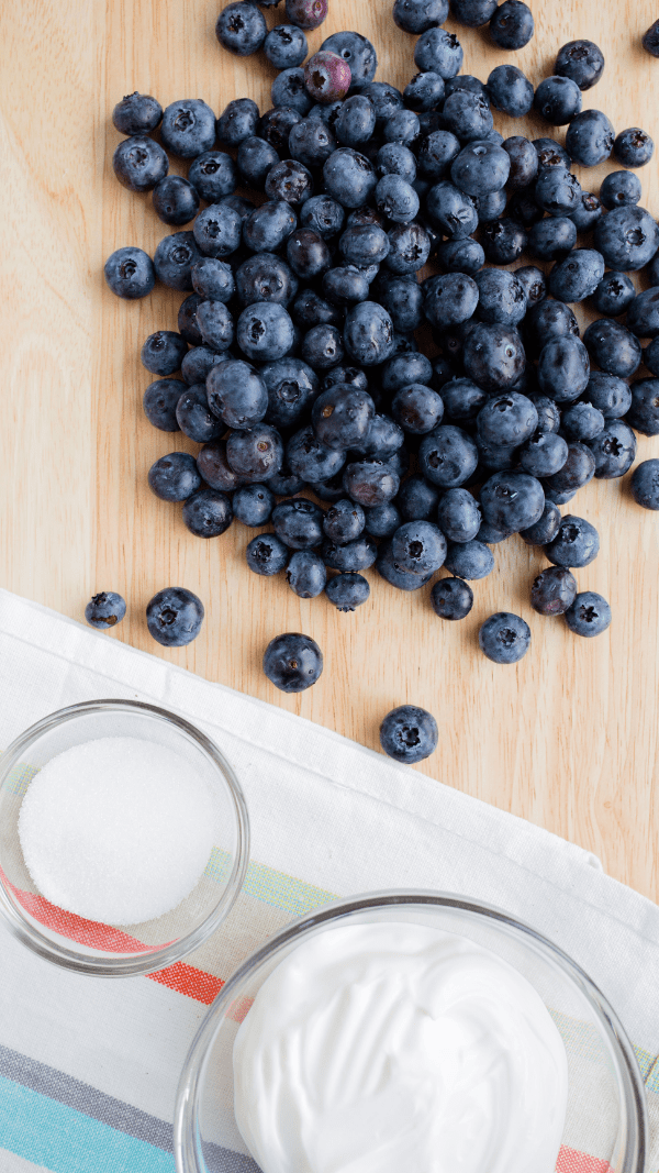 Ingredients for Blueberry Frozen Yogurt Bites