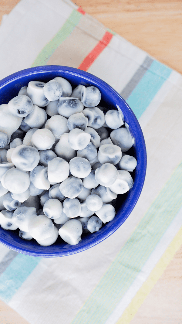 Blueberry Frozen Yogurt Bites
