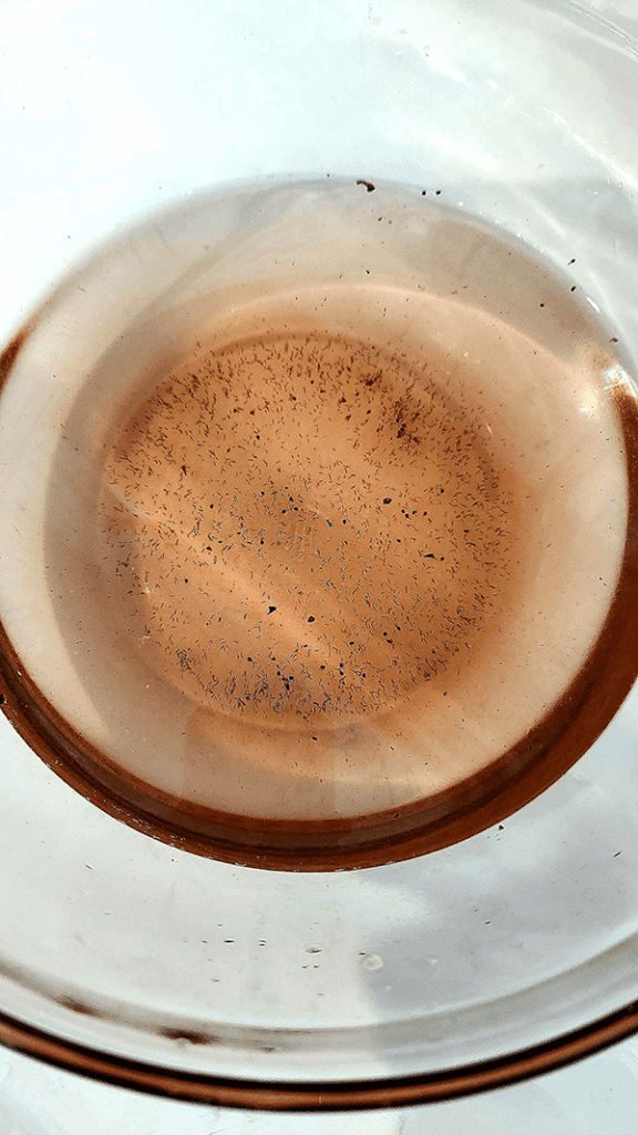 How to Properly Wash Produce A Step by Step Guide