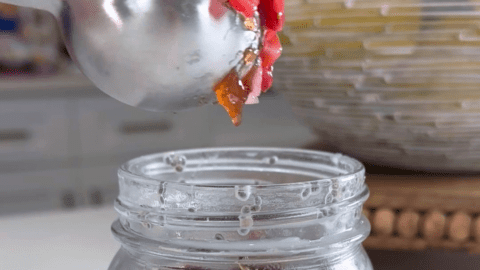Single Serve Chia Seed Pudding Recipe | For Breakfast or Snacks!