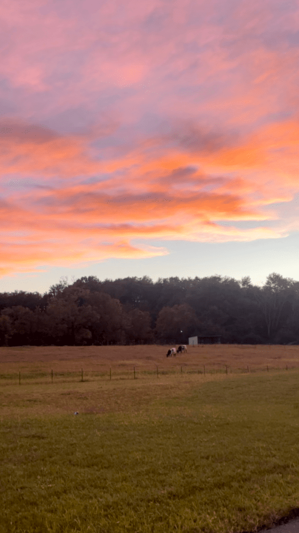 Beautiful Sunsets on the Farm with Devotional