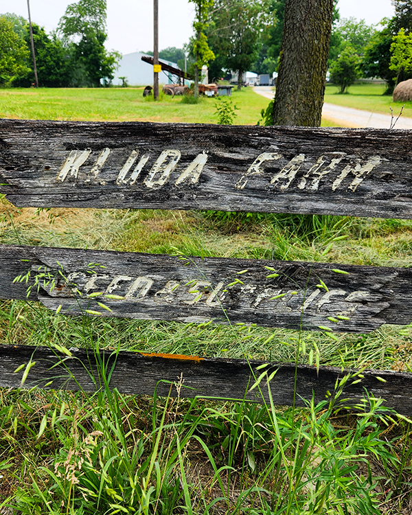 We Bought a Farm Seed & Supplies Sign