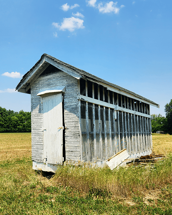 Ed's Corn Crib