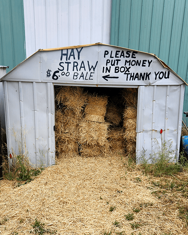 We bought a farm: Hay for Sale