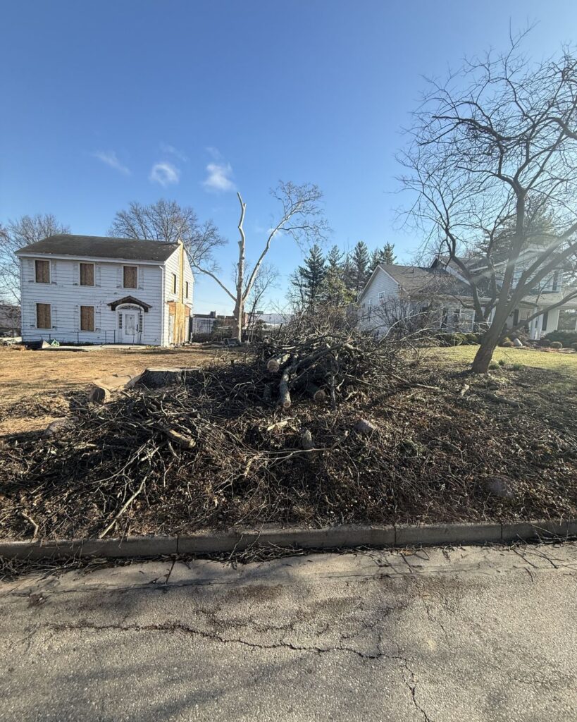 renovation removing trees and sunroom