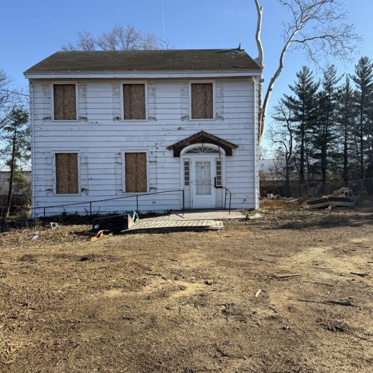 Beechwood Revival Episode 3: The Trees, the Sunroom, and Trusting the Process